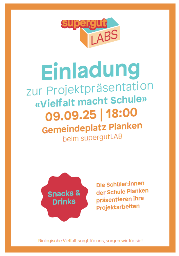 Flyer_Supergut.png